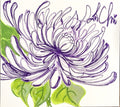 《Petal Calligraphy．花間草書》｜織光