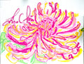 Eternal Spring《日日春》